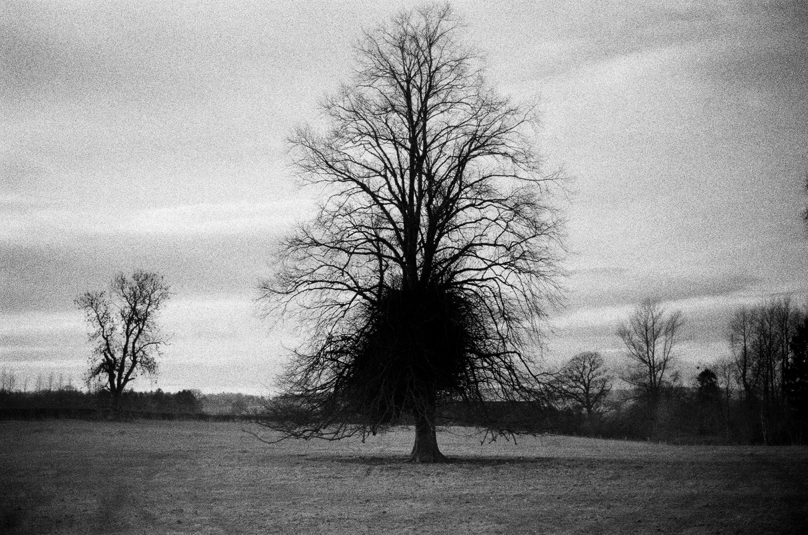 England
Scotland
Duns
