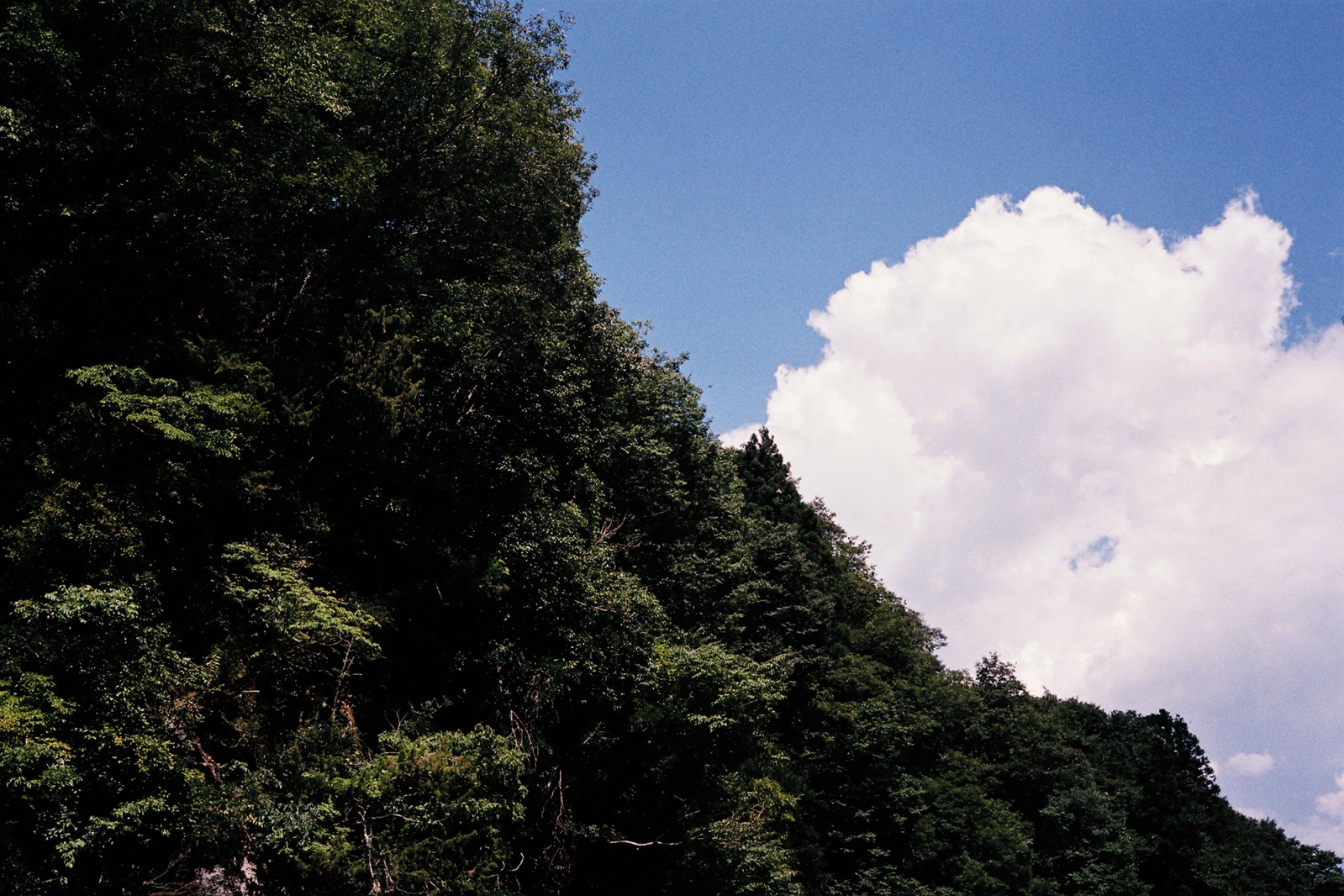 Japan
Iida
Shimoze