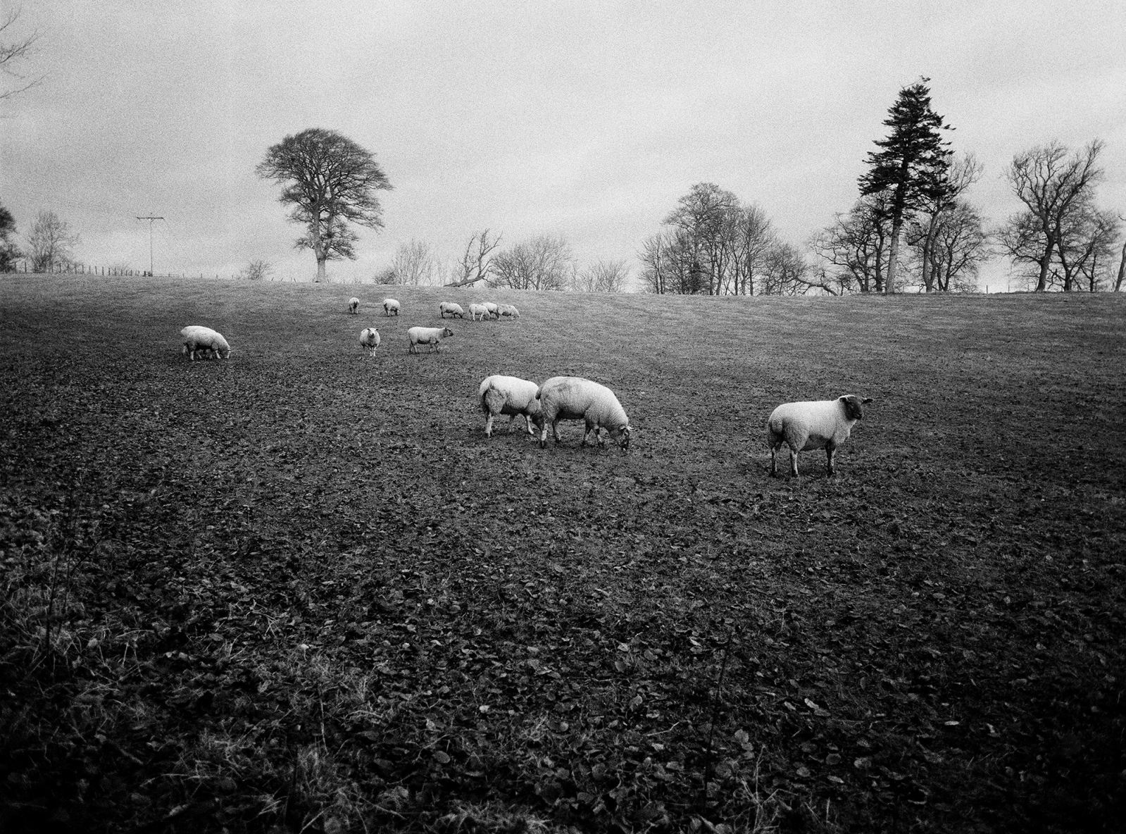 England
Scotland
Duns