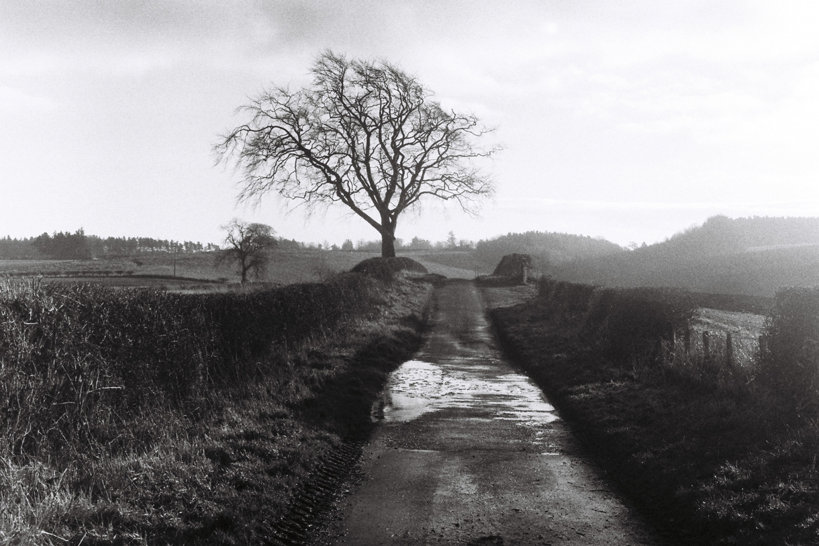 England
Scotland
Duns