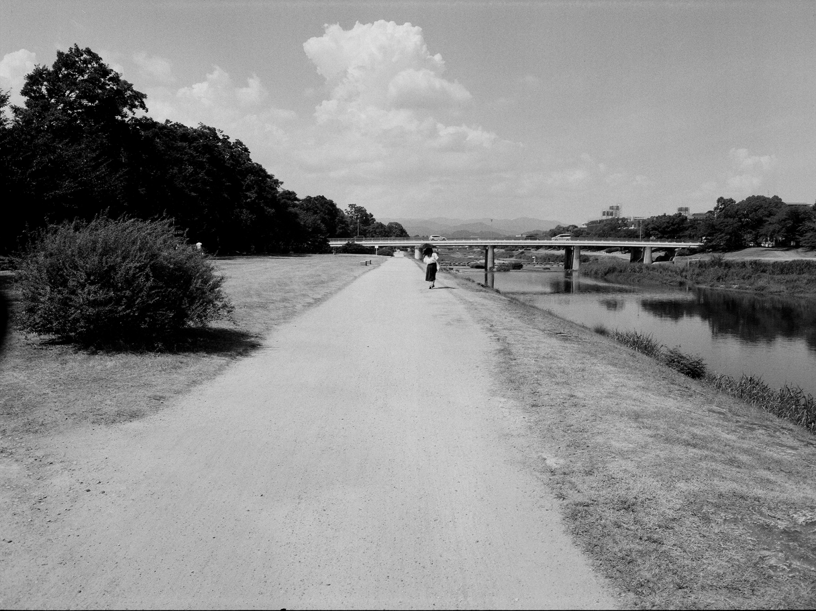 Japan
Kyoto
Kamogawa