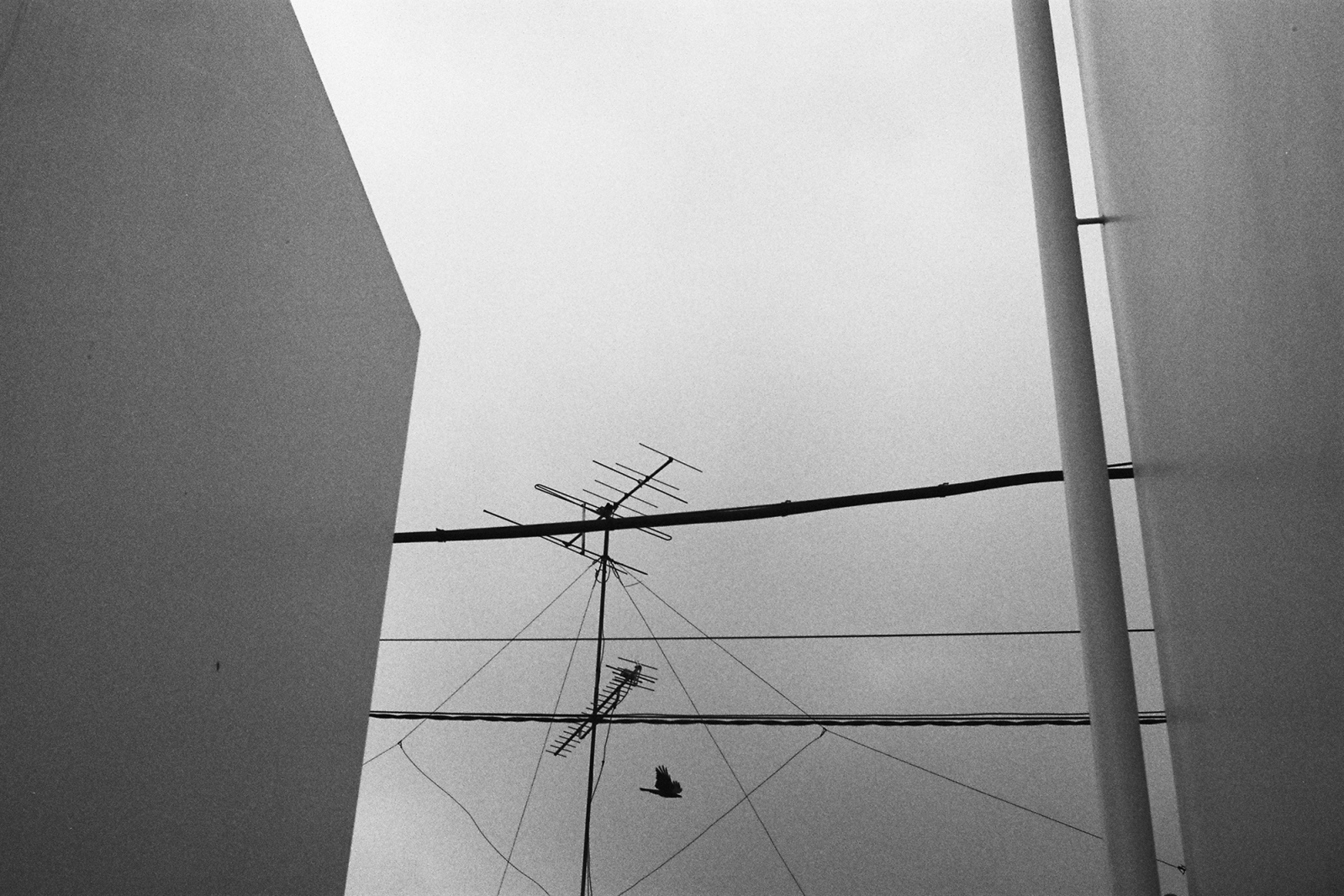 Japan
Tokyo
Ebisu