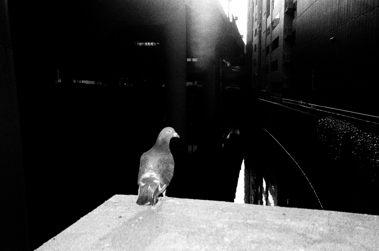 Japan
Tokyo
Kanda